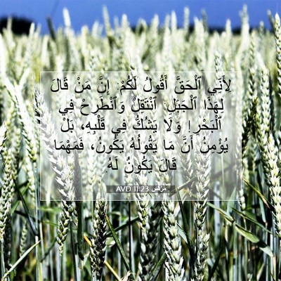 Picture 07 - مَرْقُس 11:23 AVD - لِأَنِّي ٱلْحَقَّ أَقُولُ - Bible Verse Picture