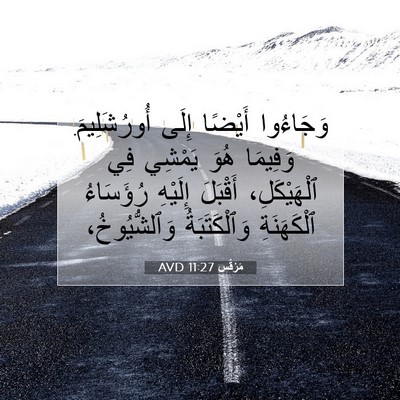 Picture 07 - مَرْقُس 11:27 AVD - وَجَاءُوا أَيْضًا إِلَى - Bible Verse Picture