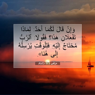 Picture 07 - مَرْقُس 11:3 AVD - وَإِنْ قَالَ لَكُمَا - Bible Verse Picture