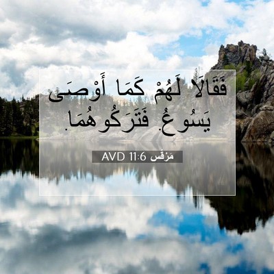 Picture 07 - مَرْقُس 11:6 AVD - فَقَالَا لَهُمْ كَمَا - Bible Verse Picture