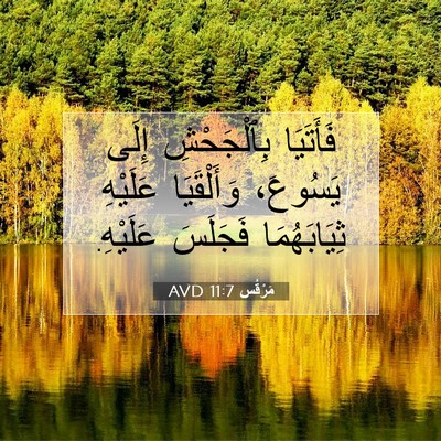 Picture 07 - مَرْقُس 11:7 AVD - فَأَتَيَا بِٱلْجَحْشِ - Bible Verse Picture