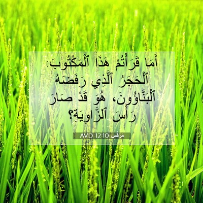Picture 07 - مَرْقُس 12:10 AVD - أَمَا قَرَأْتُمْ هَذَا - Bible Verse Picture