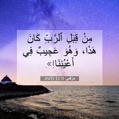 Picture 07 - مَرْقُس 12:11 AVD - مِنْ قِبَلِ ٱلرَّبِّ كَانَ - Bible Verse Picture