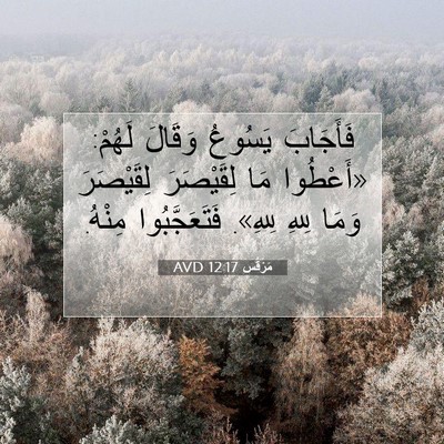 Picture 07 - مَرْقُس 12:17 AVD - فَأَجَابَ يَسُوعُ وَقَالَ - Bible Verse Picture