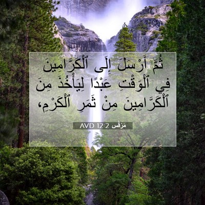 Picture 07 - مَرْقُس 12:2 AVD - ثُمَّ أَرْسَلَ إِلَى - Bible Verse Picture
