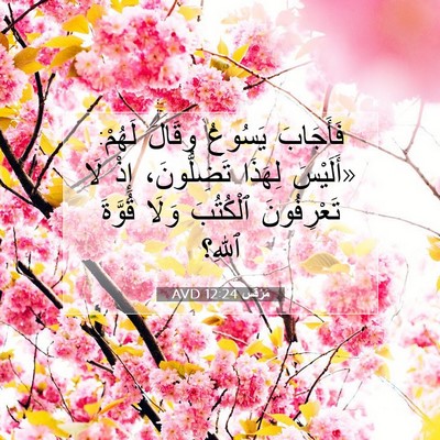 Picture 07 - مَرْقُس 12:24 AVD - فَأَجَابَ يَسُوعُ وقَالَ - Bible Verse Picture