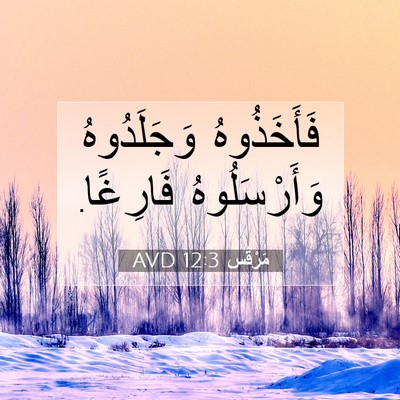 Picture 07 - مَرْقُس 12:3 AVD - فَأَخَذُوهُ وَجَلَدُوهُ - Bible Verse Picture