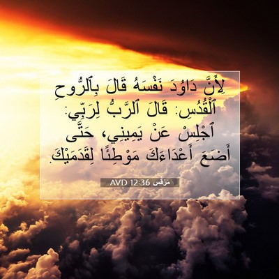 Picture 07 - مَرْقُس 12:36 AVD - لِأَنَّ دَاوُدَ نَفْسَهُ - Bible Verse Picture