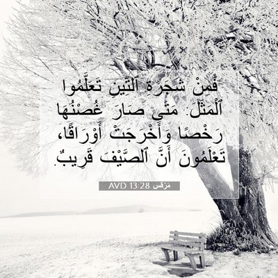 Picture 07 - مَرْقُس 13:28 AVD - فَمِنْ شَجَرَةِ ٱلتِّينِ - Bible Verse Picture