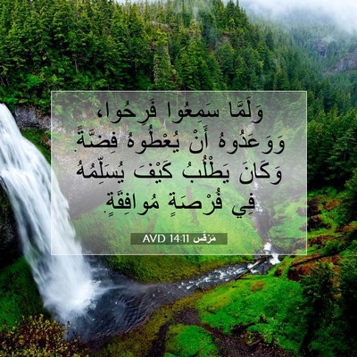 Picture 07 - مَرْقُس 14:11 AVD - وَلَمَّا سَمِعُوا - Bible Verse Picture