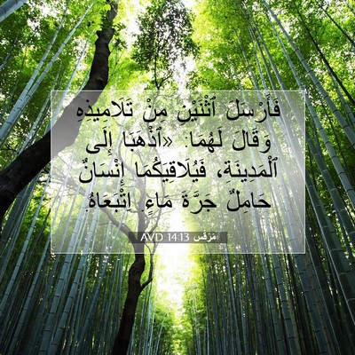 Picture 07 - مَرْقُس 14:13 AVD - فَأَرْسَلَ ٱثْنَيْنِ مِنْ - Bible Verse Picture