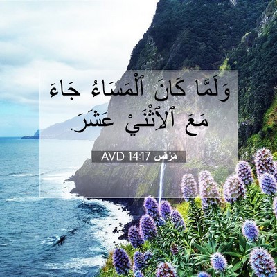 Picture 07 - مَرْقُس 14:17 AVD - وَلَمَّا كَانَ ٱلْمَسَاءُ - Bible Verse Picture