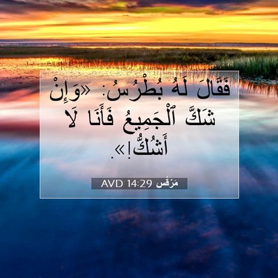Picture 07 - مَرْقُس 14:29 AVD - فَقَالَ لَهُ بُطْرُسُ: - Bible Verse Picture