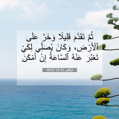 Picture 07 - مَرْقُس 14:35 AVD - ثُمَّ تَقَدَّمَ قَلِيلًا - Bible Verse Picture