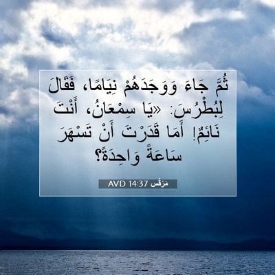 Picture 07 - مَرْقُس 14:37 AVD - ثُمَّ جَاءَ وَوَجَدَهُمْ - Bible Verse Picture