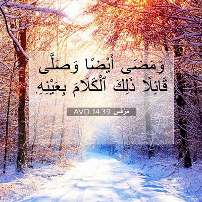 Picture 07 - مَرْقُس 14:39 AVD - وَمَضَى أَيْضًا وَصَلَّى - Bible Verse Picture