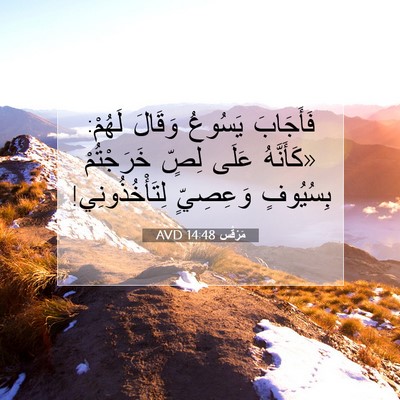 Picture 07 - مَرْقُس 14:48 AVD - فَأَجَابَ يَسُوعُ وَقَالَ - Bible Verse Picture