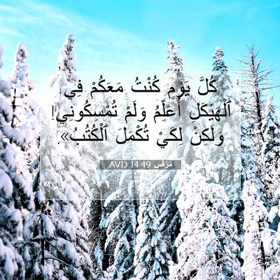 Picture 07 - مَرْقُس 14:49 AVD - كُلَّ يَوْمٍ كُنْتُ - Bible Verse Picture