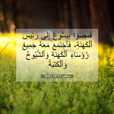 Picture 07 - مَرْقُس 14:53 AVD - فَمَضَوْا بِيَسُوعَ إِلَى - Bible Verse Picture