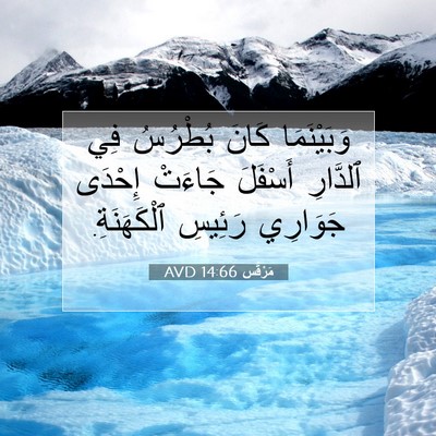 Picture 07 - مَرْقُس 14:66 AVD - وَبَيْنَمَا كَانَ - Bible Verse Picture