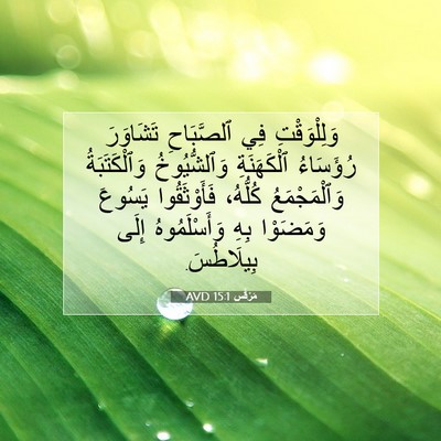 Picture 07 - مَرْقُس 15:1 AVD - وَلِلْوَقْتِ فِي - Bible Verse Picture