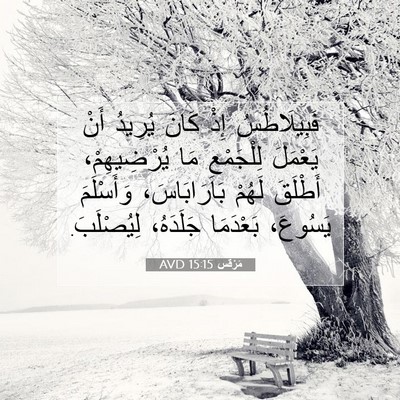 Picture 07 - مَرْقُس 15:15 AVD - فَبِيلَاطُسُ إِذْ كَانَ - Bible Verse Picture