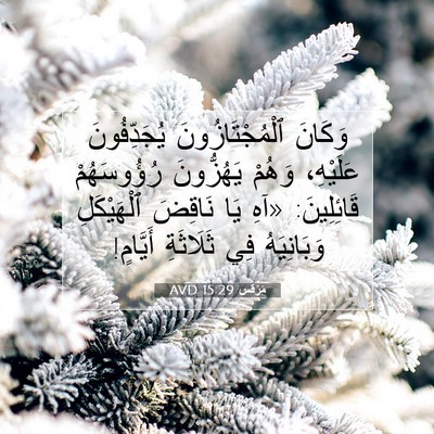 Picture 07 - مَرْقُس 15:29 AVD - وَكَانَ ٱلْمُجْتَازُونَ - Bible Verse Picture