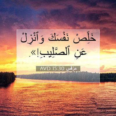 Picture 07 - مَرْقُس 15:30 AVD - خَلِّصْ نَفْسَكَ - Bible Verse Picture