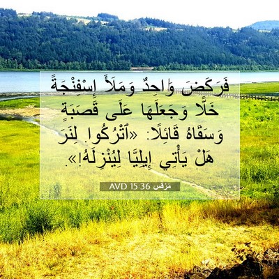 Picture 07 - مَرْقُس 15:36 AVD - فَرَكَضَ وَاحِدٌ وَمَلَأَ - Bible Verse Picture