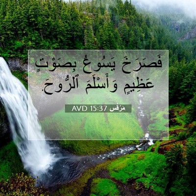 Picture 07 - مَرْقُس 15:37 AVD - فَصَرَخَ يَسُوعُ بِصَوْتٍ - Bible Verse Picture