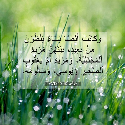 Picture 07 - مَرْقُس 15:40 AVD - وَكَانَتْ أَيْضًا نِسَاءٌ - Bible Verse Picture