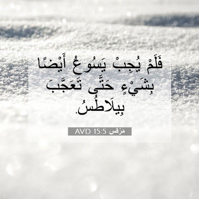 Picture 07 - مَرْقُس 15:5 AVD - فَلَمْ يُجِبْ يَسُوعُ - Bible Verse Picture