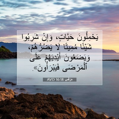 Picture 07 - مَرْقُس 16:18 AVD - يَحْمِلُونَ حَيَّاتٍ، - Bible Verse Picture