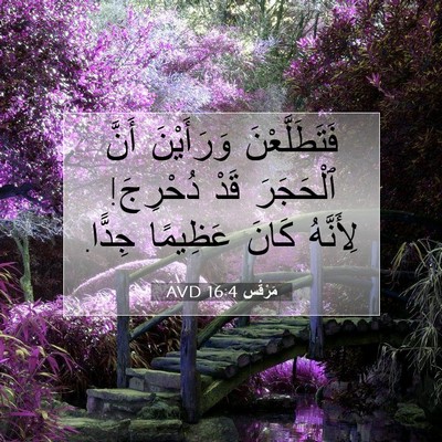 Picture 07 - مَرْقُس 16:4 AVD - فَتَطَلَّعْنَ وَرَأَيْنَ - Bible Verse Picture