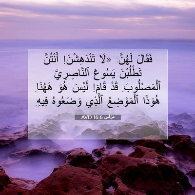 Picture 07 - مَرْقُس 16:6 AVD - فَقَالَ لَهُنَّ: «لَا - Bible Verse Picture