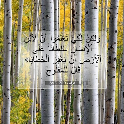 Picture 07 - مَرْقُس 2:10 AVD - وَلَكِنْ لِكَيْ - Bible Verse Picture