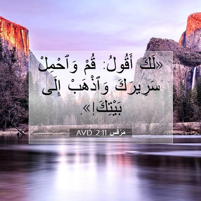 Picture 07 - مَرْقُس 2:11 AVD - «لَكَ أَقُولُ: قُمْ - Bible Verse Picture