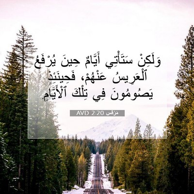 Picture 07 - مَرْقُس 2:20 AVD - وَلَكِنْ سَتَأْتِي - Bible Verse Picture