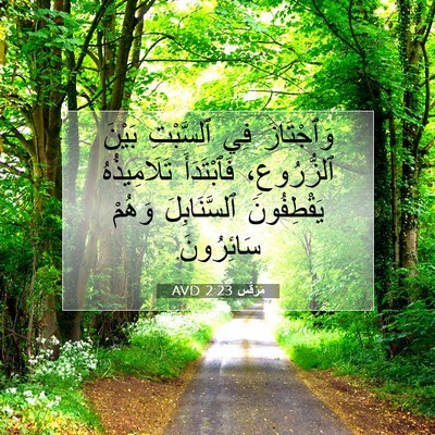 Picture 07 - مَرْقُس 2:23 AVD - وَٱجْتَازَ فِي ٱلسَّبْتِ - Bible Verse Picture