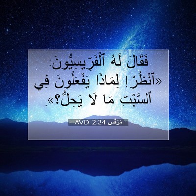 Picture 07 - مَرْقُس 2:24 AVD - فَقَالَ لَهُ - Bible Verse Picture