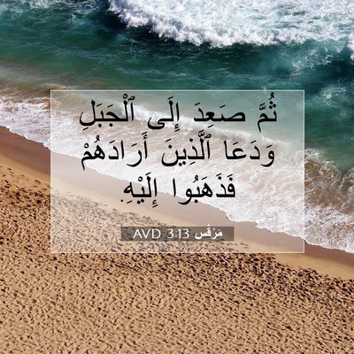 Picture 07 - مَرْقُس 3:13 AVD - ثُمَّ صَعِدَ إِلَى - Bible Verse Picture