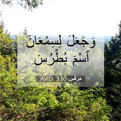 Picture 07 - مَرْقُس 3:16 AVD - وَجَعَلَ لِسِمْعَانَ - Bible Verse Picture
