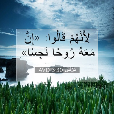 Picture 07 - مَرْقُس 3:30 AVD - لِأَنَّهُمْ قَالُوا: - Bible Verse Picture