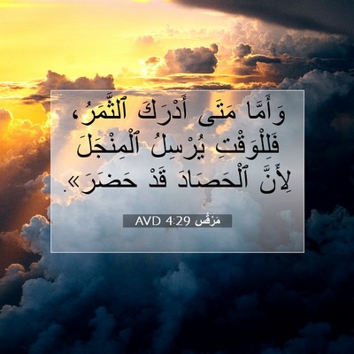Picture 07 - مَرْقُس 4:29 AVD - وَأَمَّا مَتَى أَدْرَكَ - Bible Verse Picture