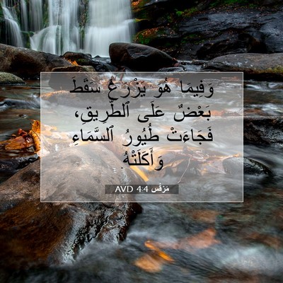 Picture 07 - مَرْقُس 4:4 AVD - وَفِيمَا هُوَ يَزْرَعُ - Bible Verse Picture