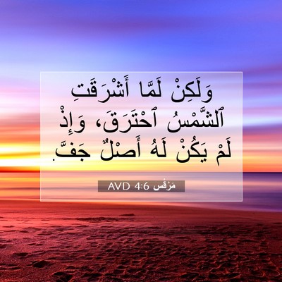 Picture 07 - مَرْقُس 4:6 AVD - وَلَكِنْ لَمَّا - Bible Verse Picture