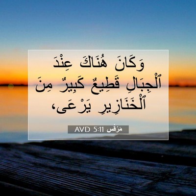 Picture 07 - مَرْقُس 5:11 AVD - وَكَانَ هُنَاكَ عِنْدَ - Bible Verse Picture
