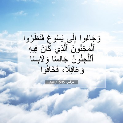 Picture 07 - مَرْقُس 5:15 AVD - وَجَاءُوا إِلَى يَسُوعَ - Bible Verse Picture