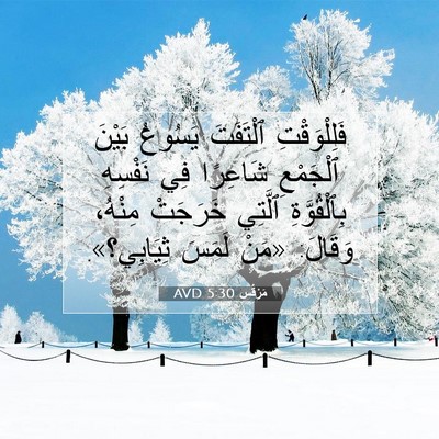 Picture 07 - مَرْقُس 5:30 AVD - فَلِلْوَقْتِ ٱلْتَفَتَ - Bible Verse Picture