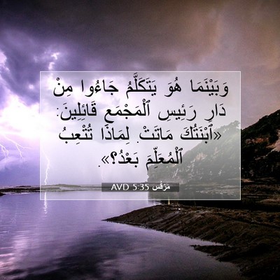 Picture 07 - مَرْقُس 5:35 AVD - وَبَيْنَمَا هُوَ - Bible Verse Picture